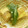 chako２００５'s cooksnap of when they made 厚揚げの胡麻煮.