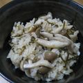 うさもち's cooksnap of when they made 簡単★塩コンブdeきのこご飯❤.
