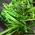 生誕１９７３年独身男's cooksnap of when they made セリのゴマ和え.