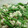 ko2cook's cooksnap of when they made いんげんと豆腐の中華風胡麻和え★.