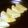 まいたけえりんぎ's cooksnap of when they made だいこんぎょうざ。.