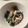 クックM5ZNR8☆'s cooksnap of when they made わかめとカニカマ春雨の酢の物.