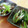にけ☆★'s cooksnap of when they made ★きのこと小松菜のおろし和え★.