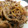 めかにか's cooksnap of when they made 【生姜】豚しぐれ煮.