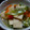紫の薔薇と真珠。's cooksnap of when they made 高野豆腐ときぬさやの卵とじ☆.
