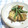 ＢＵＴＴＯＮ3's cooksnap of when they made 厚揚げといんげんの胡麻化粧.