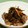 cocoa91's cooksnap of when they made 砂肝と切り昆布の炒め煮.