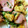 naomi1's cooksnap of when they made 豆苗とベーコンのふわ玉炒め.