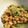 hibi33's cooksnap of when they made 【十勝一年生】ふきのとうの納豆和え.