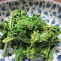 こずっぺ's cooksnap of when they made こごみの胡麻和え.