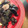 rakuen's cooksnap of when they made 炒り浸し黒豆の五目煮.