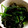 わなみ's cooksnap of when they made ほうれん草とのりたっぷりのナムル風.