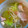 おぶうさま's cooksnap of when they made ❀不思議ちゃんno早や旨ちぎりスープ.