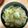 walnut_122's cooksnap of when they made きゃべつの和え物.