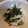 ひぽぽたます0's cooksnap of when they made 山芋＆おくらのとろろ昆布和え.