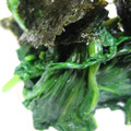 MIYA缶's cooksnap of when they made ほうれん草のり和え.