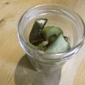 3姉妹ちゃんママ's cooksnap of when they made 簡単！やみつき〜きゅうりのピリ辛甘酢和え.