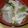 あずのっち's cooksnap of when they made さっぱりおいしい豚バラ大根のスープ煮.