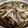 99tako's cooksnap of when they made 3種のキノコあんかけ丼.