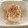 ラリー＆サラ's cooksnap of when they made かつおとしらすの冷奴.