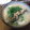 くぅ～'s cooksnap of when they made 鮭の粕汁.