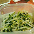 とたん24's cooksnap of when they made 簡単もやしと豆苗のナムル.