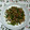 yanami's cooksnap of when they made ピーマンと豚肉の中華炒め.
