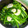 うめたむ's cooksnap of when they made ❤ポパイほうれん草のたっぷりにんにく炒め.