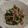 ★やよぃ★'s cooksnap of when they made 簡単☆オクラとツナのサラダ.