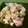 そらいろ猫's cooksnap of when they made 鶏としめじの味噌マヨ炒め.