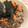 Marrietty's cooksnap of when they made 簡単　のせるだけ　冷たいキムチ＆納豆そば.