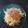 まちゴン's cooksnap of when they made 美味しい♪冷やし中華のごまだれ.