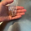Aカエルくん's cooksnap of when they made 簡単★固形コンソメを粉コンソメにする方法.