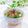 Satoco❋'s cooksnap of when they made 手作り茶漬けにぶぶあられ.