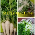 ひっこ's cooksnap of when they made 大根と大根葉の浅漬け❀.