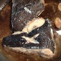 なかめぐ1981's cooksnap of when they made 味が決まった！カレイの煮付け.