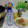 makoriinu's cooksnap of when they made 新玉葱のしぼりたて生しょうゆサラダ.