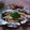 Rina0822's cooksnap of when they made 鮭ときのこのホイル焼き♡簡単.