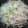 ぺこぺこ312's cooksnap of when they made もやしとぶたの重ね蒸し.