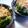みーつん's cooksnap of when they made ほうれん草のおひたし。by小料理屋さん.