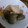Ｙｕｋｉらび＊'s cooksnap of when they made 揚げ大根のたいたん.