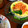 みくぽよ's cooksnap of when they made 鮭と枝豆のちらし寿司.