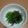 CARP26's cooksnap of when they made ✿ピーマン＆塩昆布の簡単和え物✿.