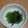 CARP26's cooksnap of when they made ✿ピーマン＆塩昆布の簡単和え物✿.
