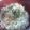 9時から男's cooksnap of when they made のせるだけ☆あっという間のしらす丼.