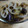 さばを's cooksnap of when they made あっ！という間に！れんこんとナスの中華風.