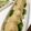 ちぃﾄﾝ's cooksnap of when they made たけのこの炊きこみご飯.