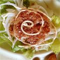 ももりん福島's cooksnap of when they made 新たまねぎのサラダ.