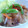 oBsession's cooksnap of when they made 豚肉と野菜の南蛮漬け.
