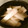 ごごんた's cooksnap of when they made かんた～ん、おいしい大根のお漬物.